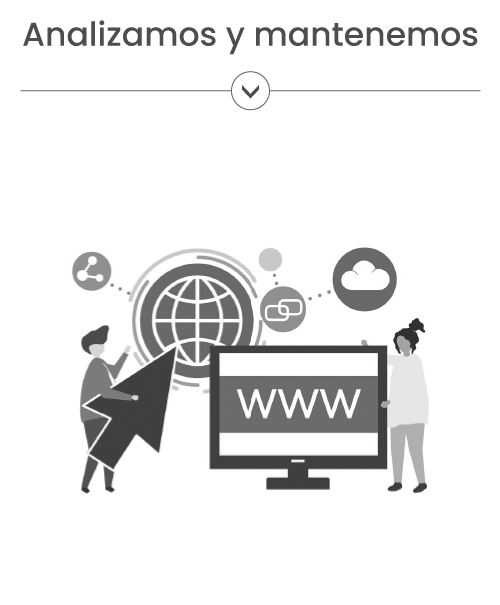 analizamos_mantenemos_seo