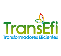 diseno_sitio_web_cliente_transefi